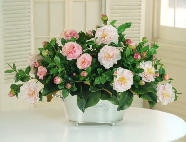 Blush Romance - Image 3